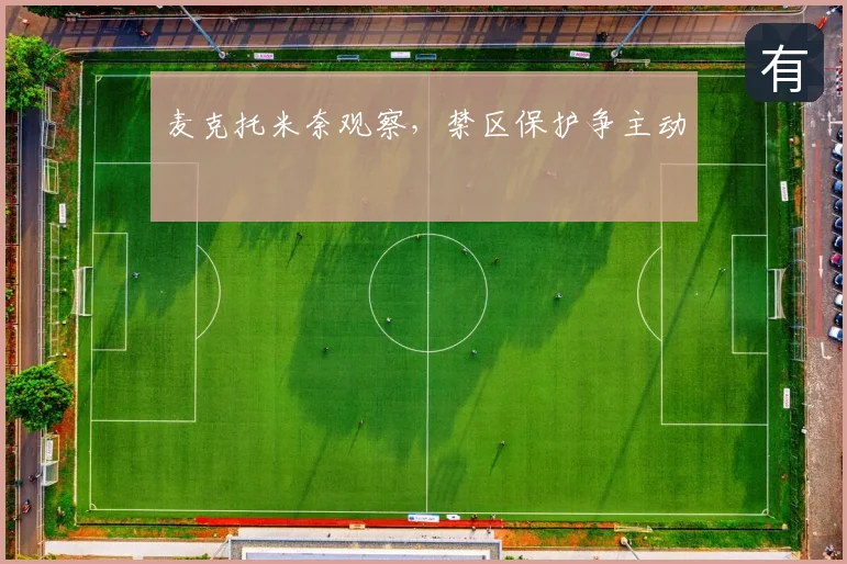 麦克托米奈观察,禁区保护争主动